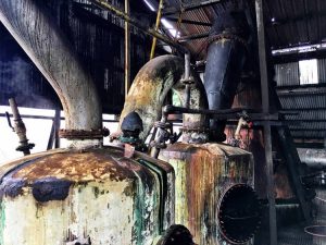 jamaican rum hampden estate