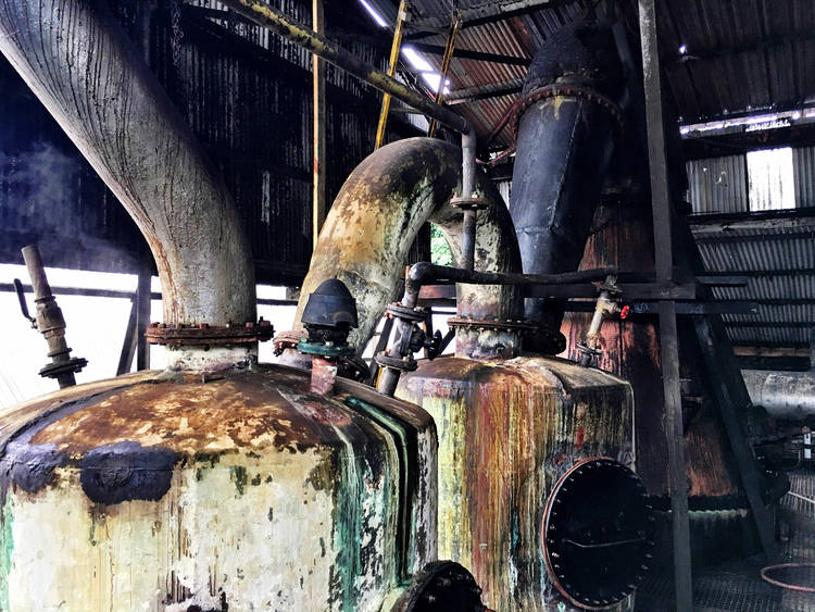 Jamaican rum, esters and mockpit